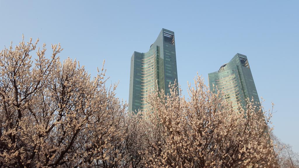 Seoul Forest Guesthouse Exterior foto